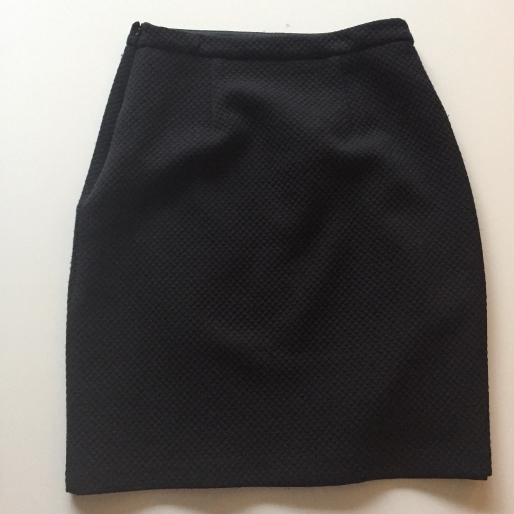 Elegant Black Skirt - Picture 1 of 4